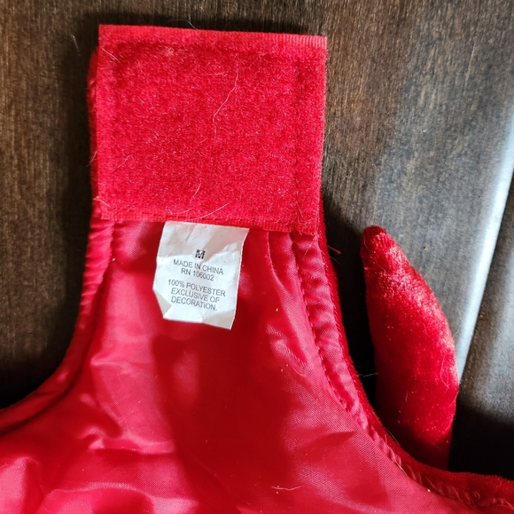 Dog costume - Picture 3 of 4